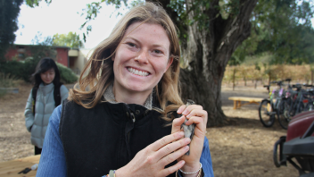 A person holds a bird gently in her hand.