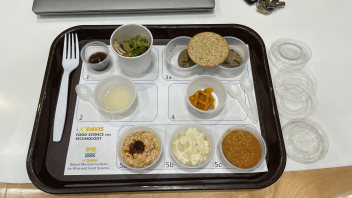 In FST 160 Food Product Development, food science undergraduates gave the UC Davis community a taste of their original food creations, including upcycled noodles and a savory vegan waffle.