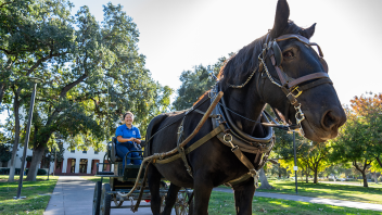 A person holds the reins from her seat in a carriage pulled by a large horse.