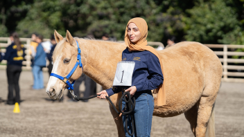 A person in a head scarf holds the reins of a horse.