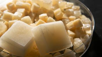 UC Davis researchers have developed a new form of ice cube that doesn't melt, is reusable, plastic-free and compostable. It could cut down on contamination from ice melt at fish markets as well as revolutionize how food is delivered.
