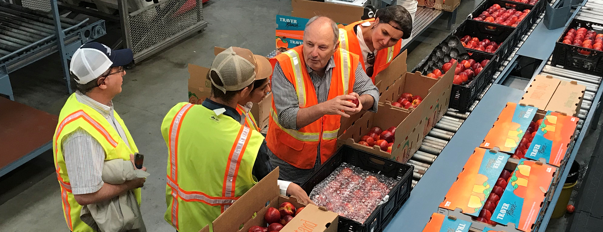 Four people wearing safety gear talk together while standing in a fruit processing facility.