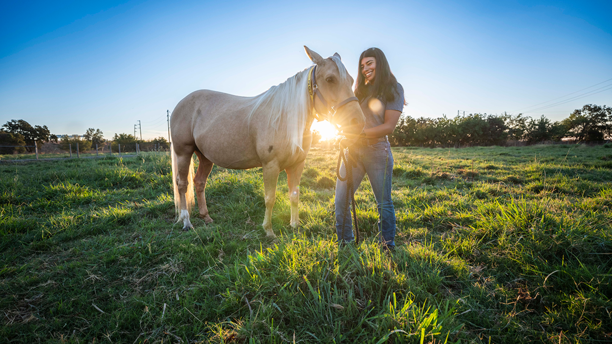 Woman standing with a light-colored horse in a grassy field at sunset