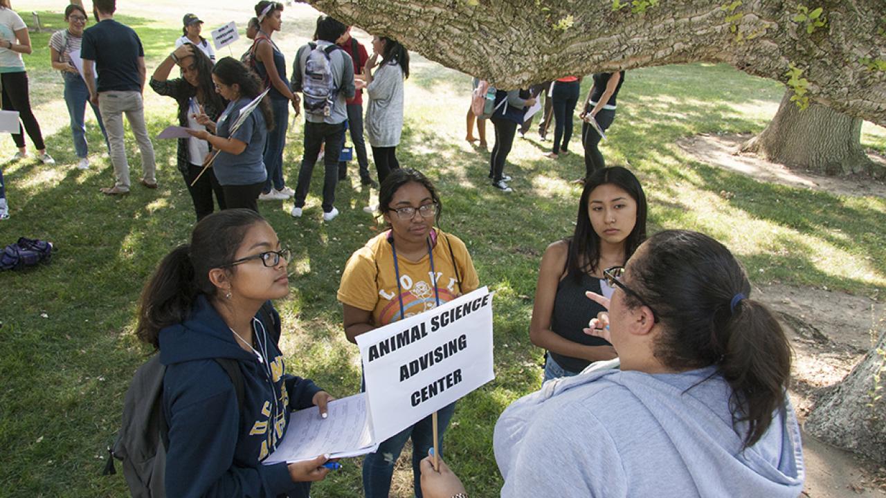 Transfer students at a UAP summer event.