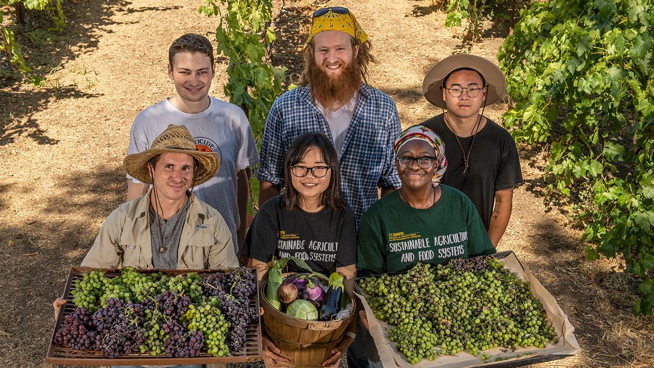 Students at the UC Davis Student Farm.
