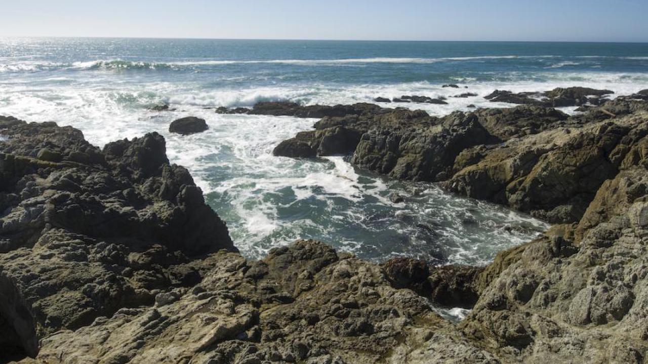 Offshore of the UC Davis Bodega Marine Reserve is a rocky reef encompassing two Marine Protected Areas. (Karin Higgins/UC Davis) Offshore of the UC Davis Bodega Marine Reserve is a rocky reef encompassing two Marine Protected Areas. (Karin Higgins/UC Davis)