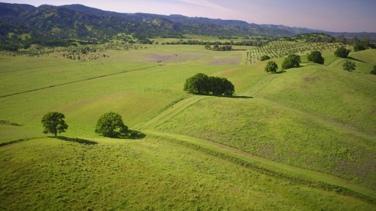 Soil beneath rangelands may help store significant levels of carbon dioxide. (Joe Proudman/UC Davis)