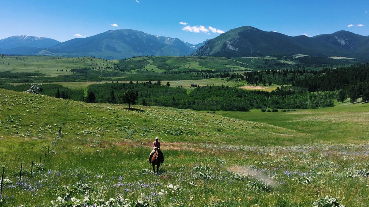 More than one half of California is rangeland that provides open space, healthy watersheds, carbon storage, food, fiber and habitat for diverse plants and wildlife. (Ariel Greenwood/Instagram @grasslandgreenwood)