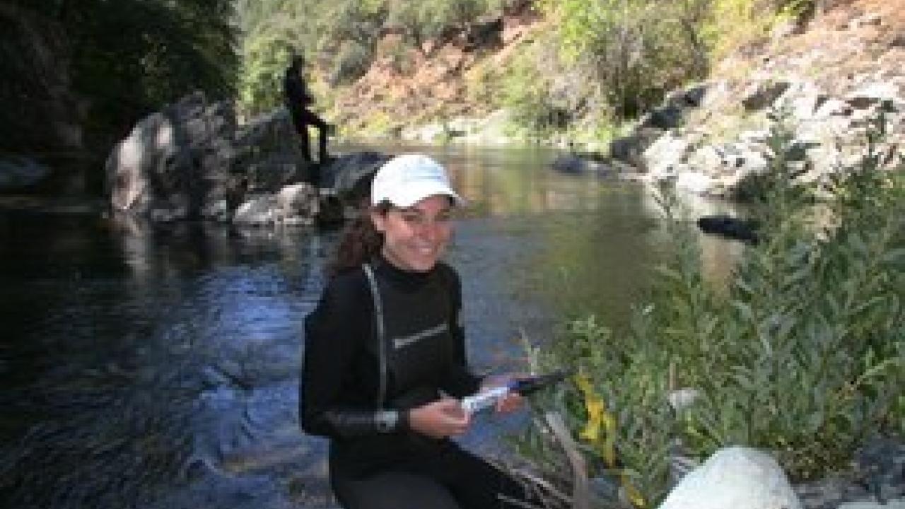 Alyssa Obester downloads temperature data from Butte Creek to take back to a laboratory at UC Davis