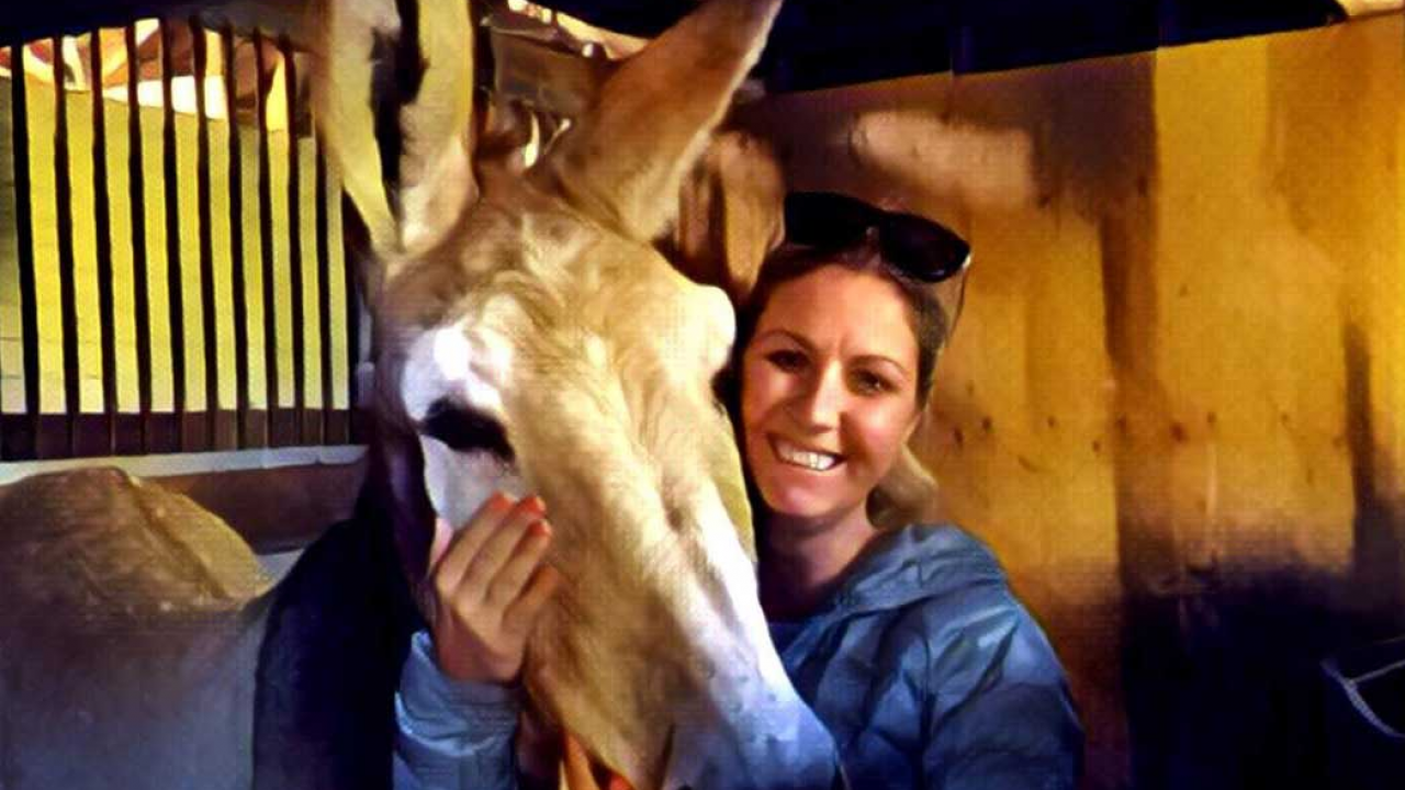 Action Jackson was a favorite of new UC Davis Horse Barn manager Amy McLean, who has a lifelong interest in donkeys and mules. Action Jackson was a favorite of new UC Davis Horse Barn manager Amy McLean, who has a lifelong interest in donkeys and mules.