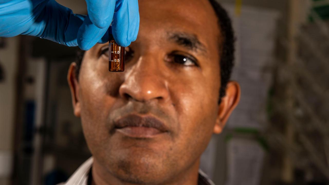 Food chemist Ameer Taha is studying the effect various lipids have on neurodevelopment.
