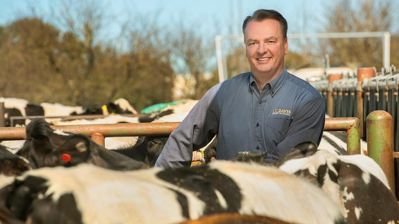 Animal science professor Frank Mitloehner reaches beyond academia to inform the public about animal agriculture’s influence on greenhouse gas emissions. Frank Mitloehner