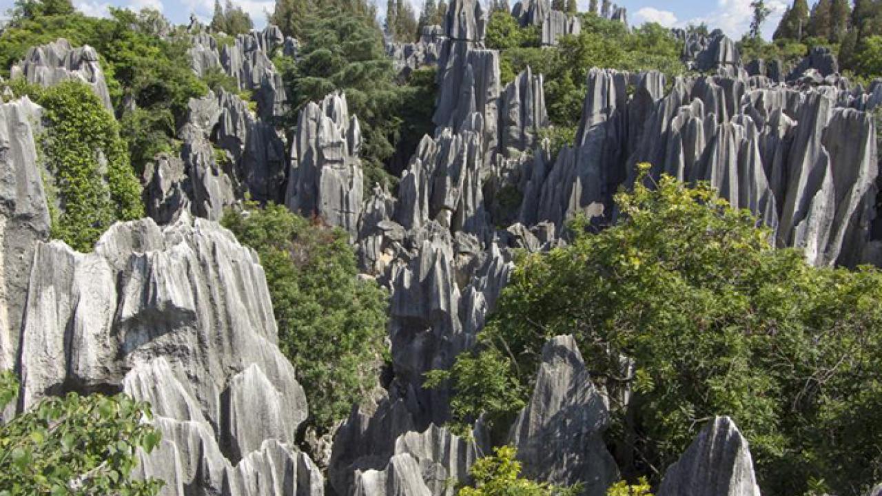Weathering rocks, like the limestone at Stone Forest National Park in China, hold significant levels of nitrogen. (Getty) Stone Forest national park