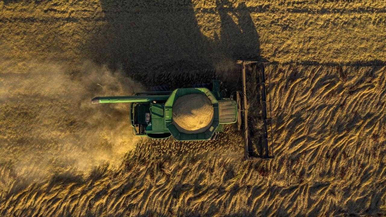 Rice harvest at Rominger Brothers Farms in Winters, CA.