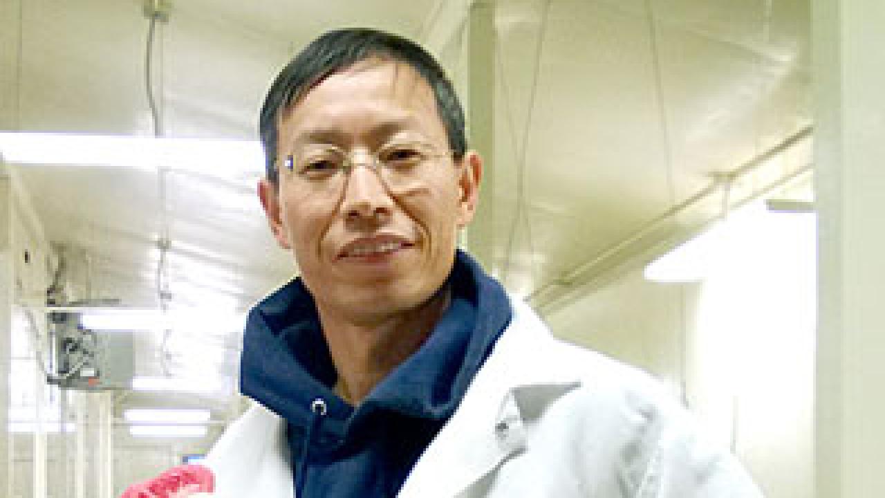Huaijun Zhou leads this effort to increase chicken production among Africa's rural households and small farms, using advanced genomics to develop chickens that can resist disease and tolerate hot climates. Huaijun Zhou leads this effort to increase chicken production among Africa's rural households and small farms, using advanced genomics to develop chickens that can resist disease and tolerate hot climates.