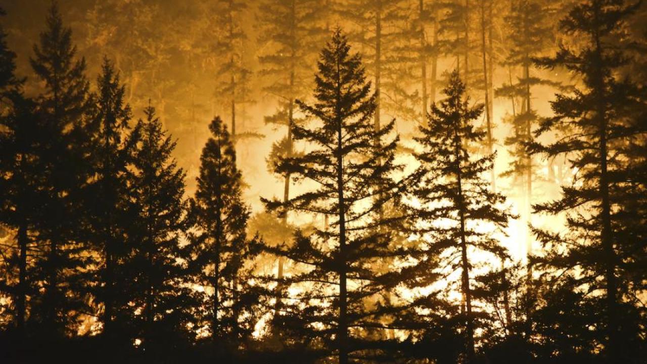 Wildfire burns in Northern California in 2015. (Getty)