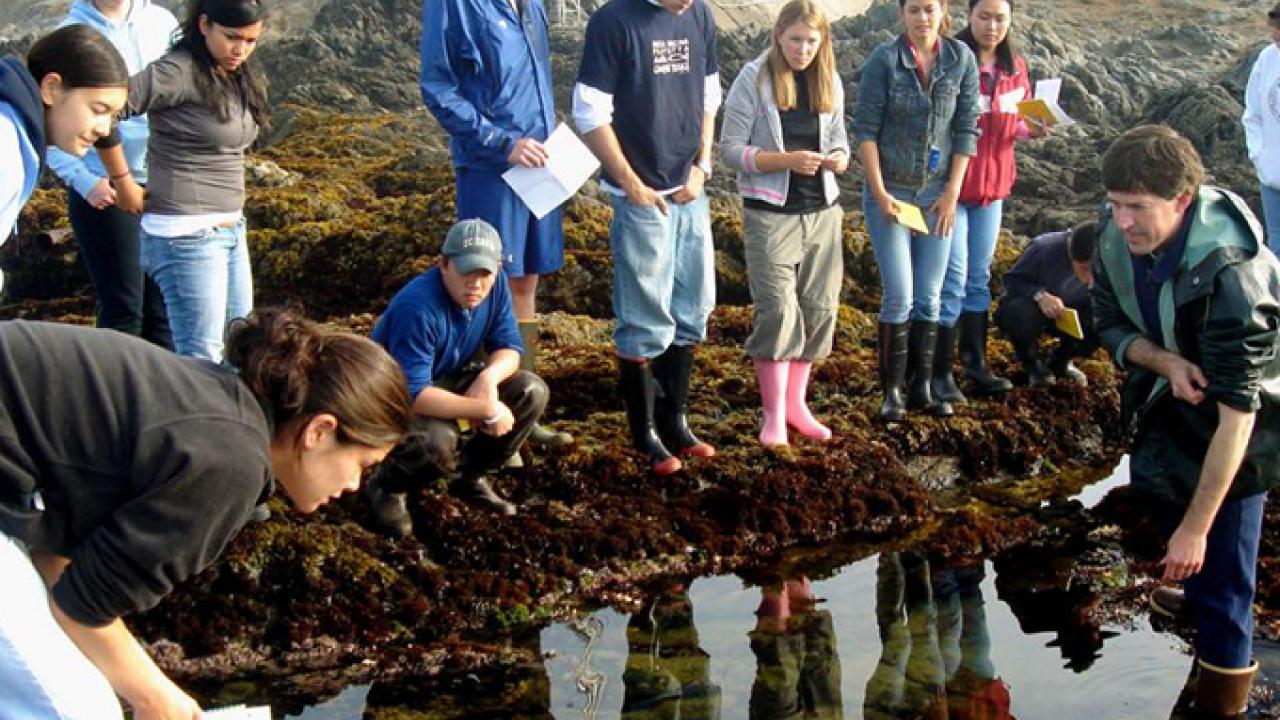 UC Davis students study tide pools and other facets of the coastal environment at the Bodega Marine Laboratory.