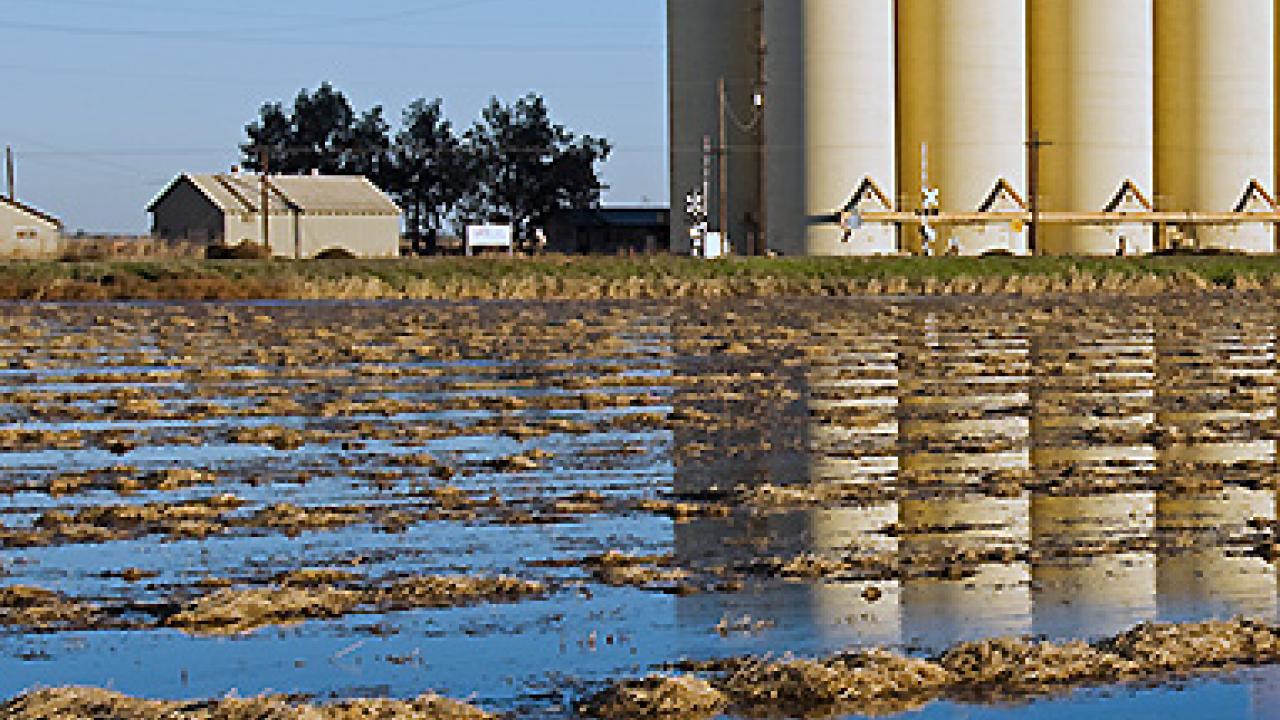 (Photo © Public Policy Institute of California 2015 ) (Photo © Public Policy Institute of California 2015 )