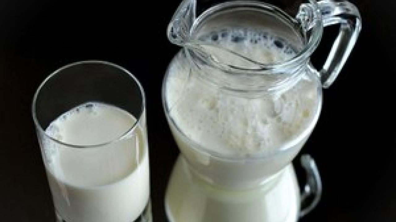 The research team is hopeful that findings from these studies of milk-based compounds can be rapidly developed into products capable of enhancing human health. Glass of Milk