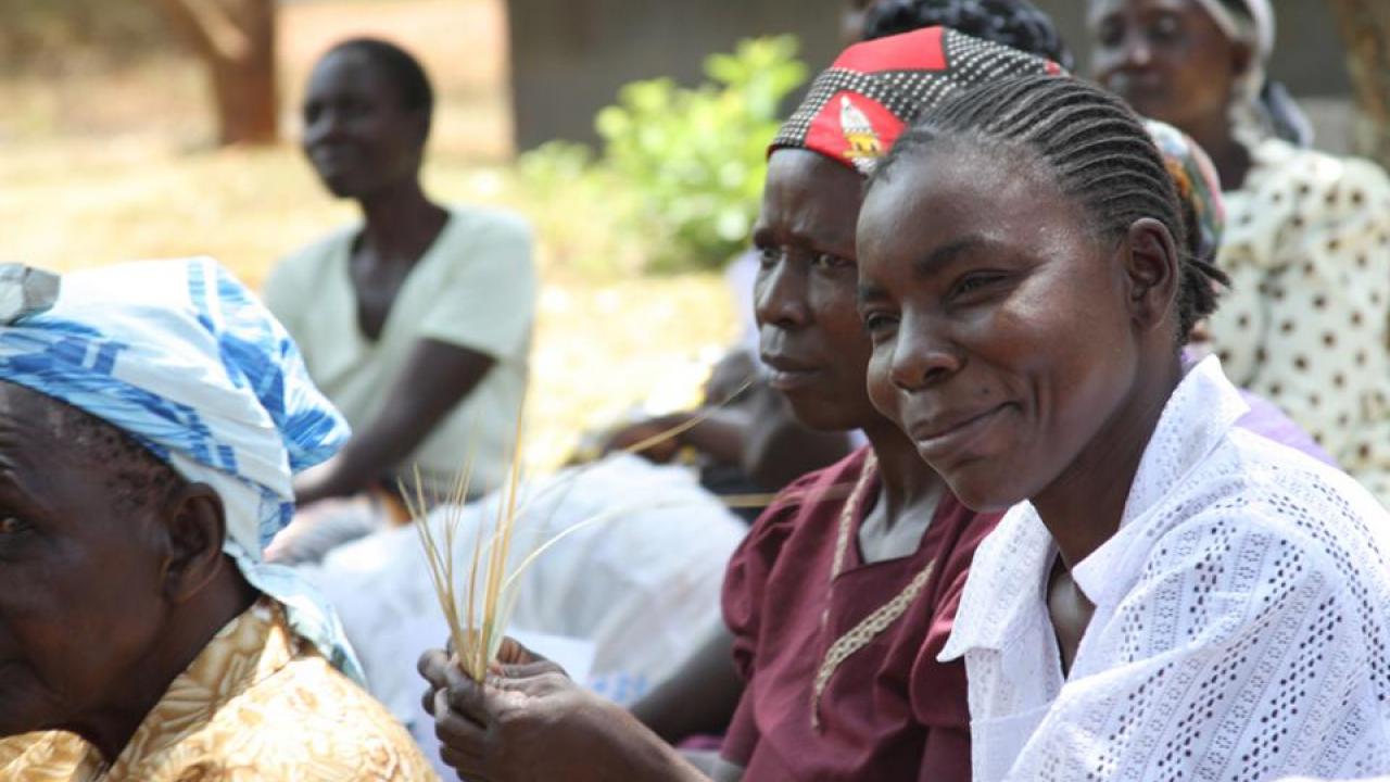 In western Kenya, a UC Davis research team explains the benefits of more productive maize seeds to small-scale farming families. (Emilia Tjernstrom) In western Kenya, a UC Davis research team explains the benefits of more productive maize seeds to small-scale farming families. (Emilia Tjernstrom)