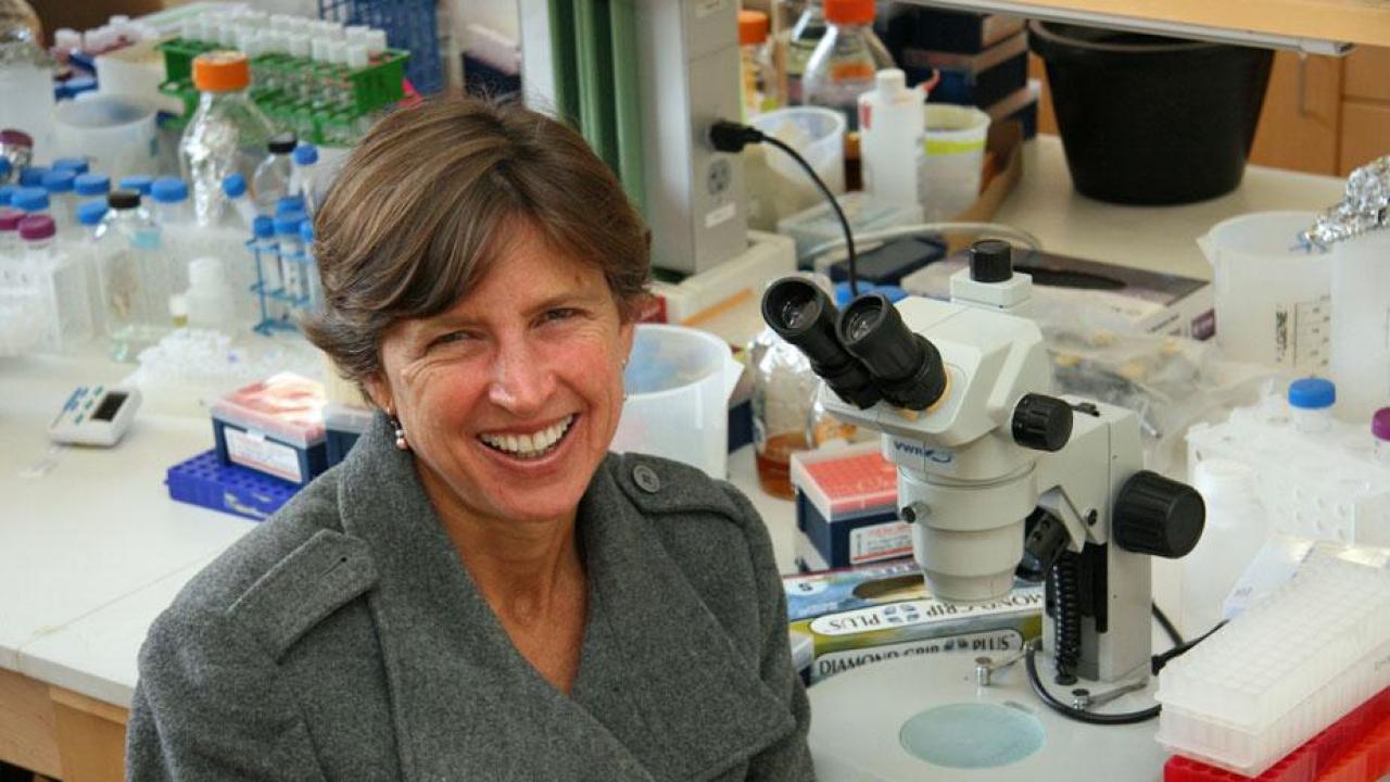 Pam Ronald’s earliest memory of Sweden is of her host, Professor Nils Fries, hunting wild mushrooms at the Stockholm airport. (John Stumbos/UC Davis) Pam Ronald’s earliest memory of Sweden is of her host, Professor Nils Fries, hunting wild mushrooms at the Stockholm airport. (John Stumbos/UC Davis)