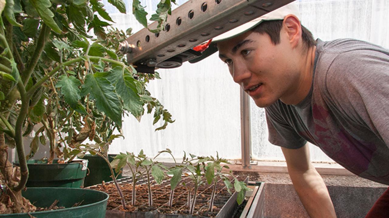 Student Channing Ko-Madden examines camera and infrared sensor attached to a homemade boom. Students were testing plant monitoring capabilities in project greenhouse. Student Channing Ko-Madden examines camera and infrared sensor attached to a homemade boom. Students were testing plant monitoring capabilities in project greenhouse.