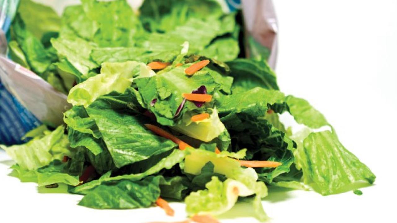 Salad greens