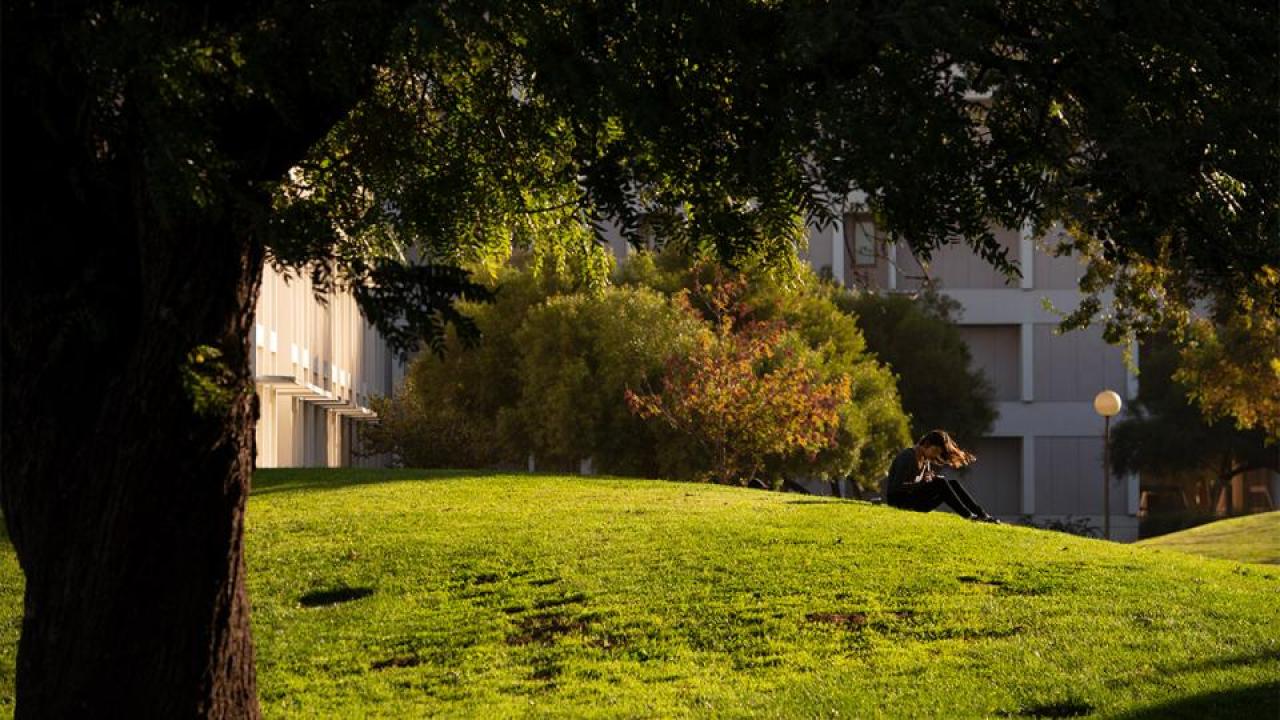 Student reading outside on the UC Davis campus.
