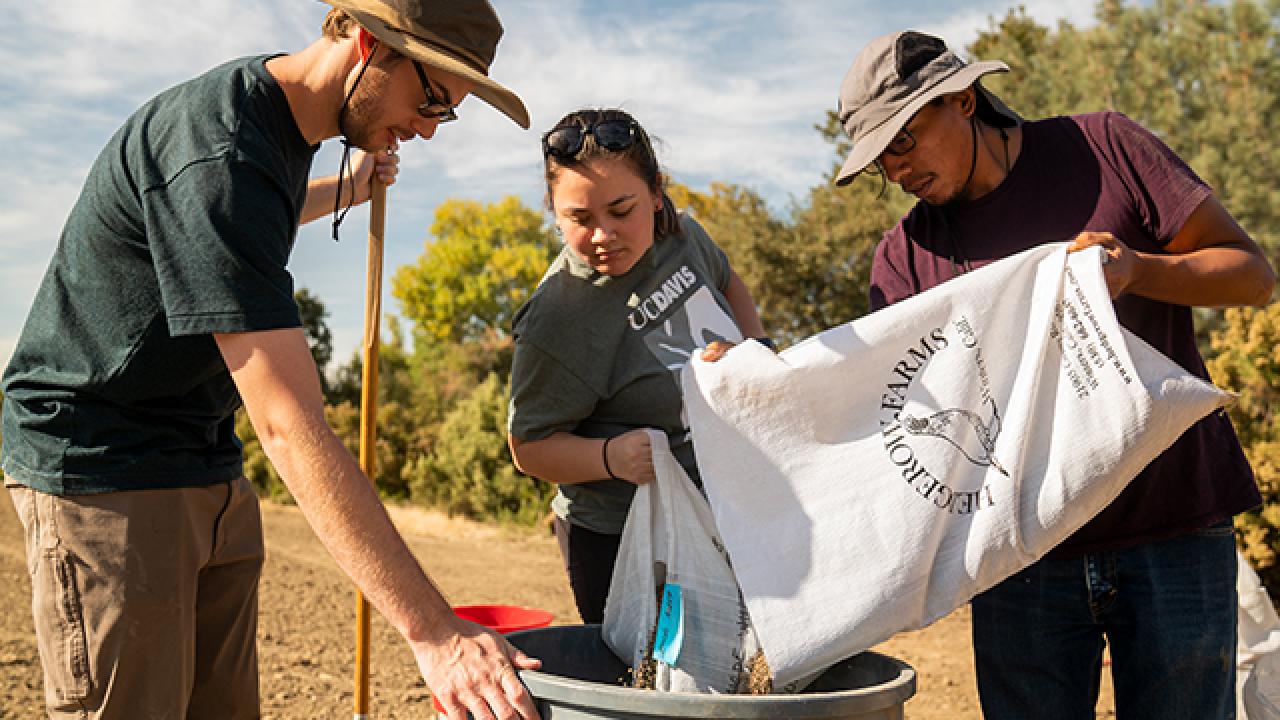 Students visited Hedegrow Farms where they learned about seed production of native plants.