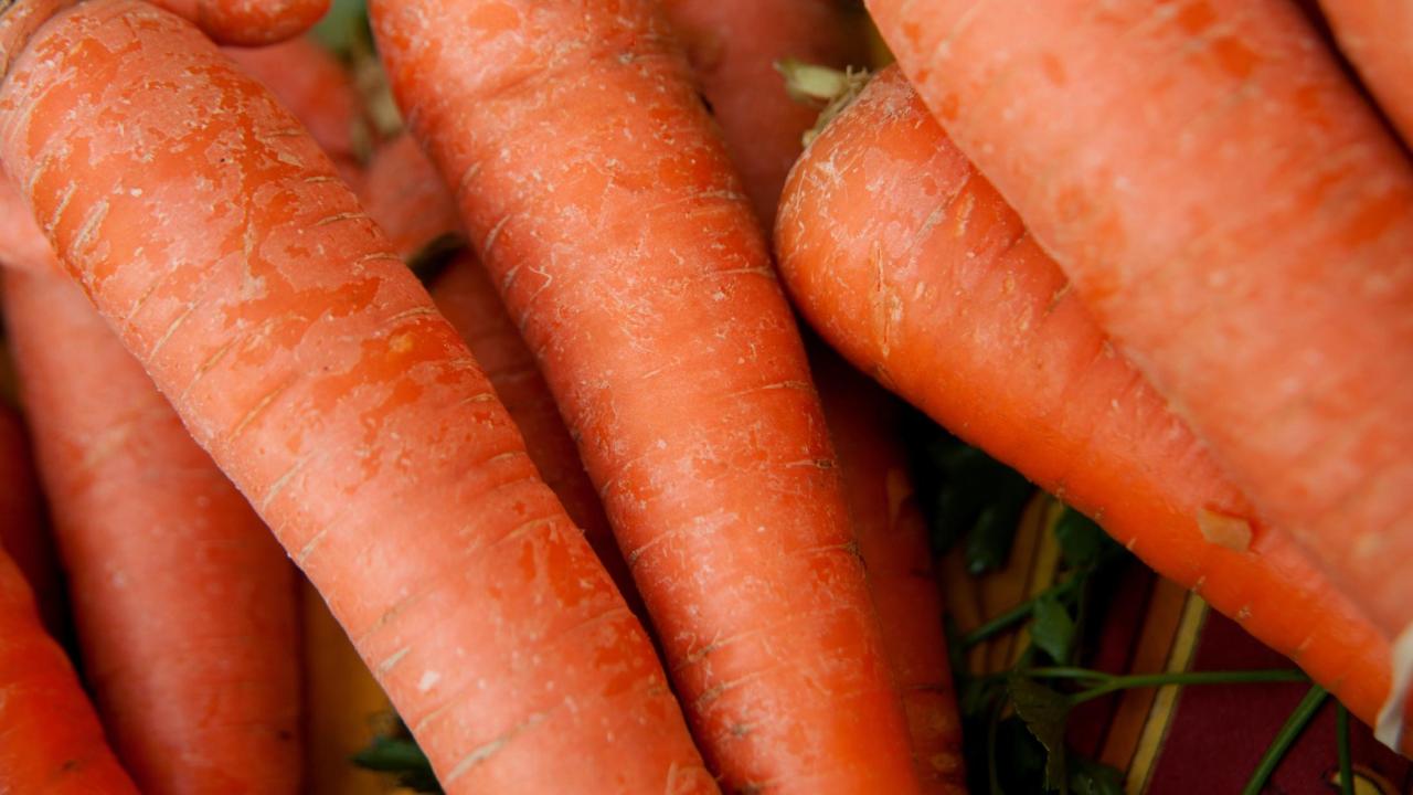 Carrots at the campus Farmer’s Market. (Gregory Urquiaga / UC Davis)