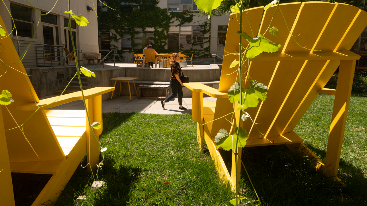 Two six-foot, yellow adirondack chairs sit in the Landscape Architecture Garden of Hunt Hall on May 23, 2024.