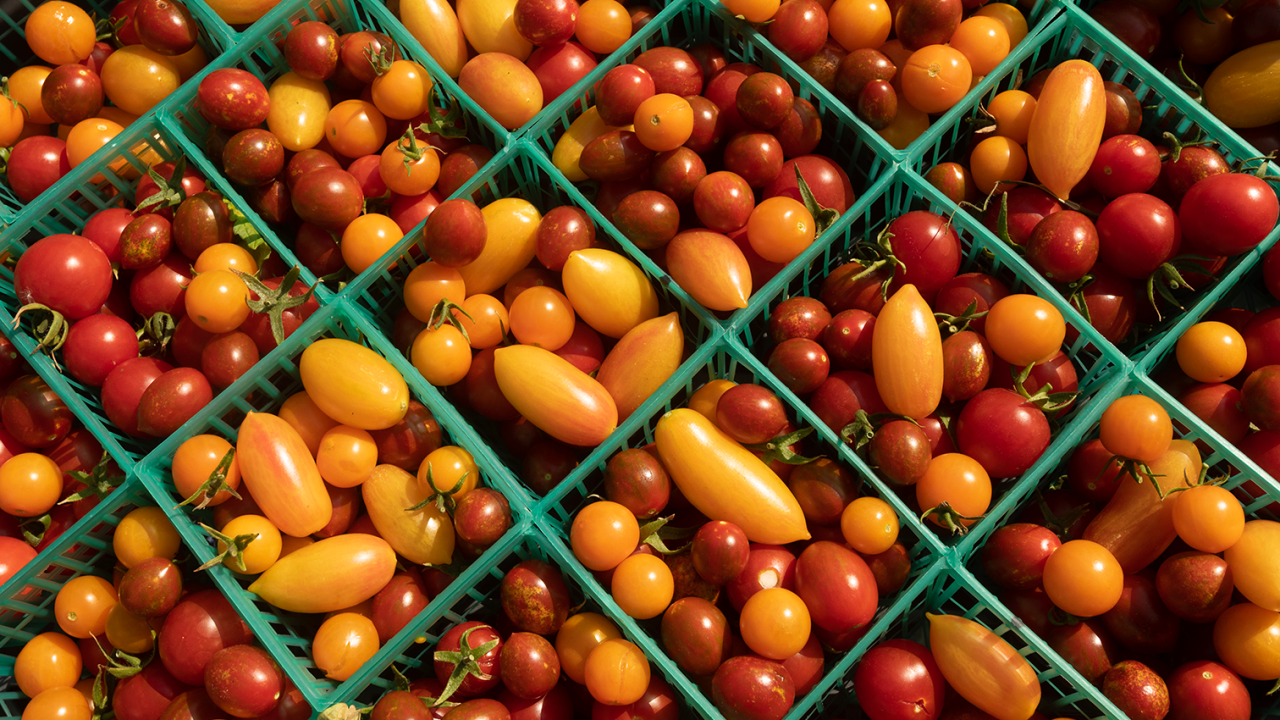 UC researchers are outlining how California farms have successfully transitioned to organic and climate-friendly practices and exploring ways to support these shifts across the state in the future. Photo by: Gregory Urquiaga, UC Davis
