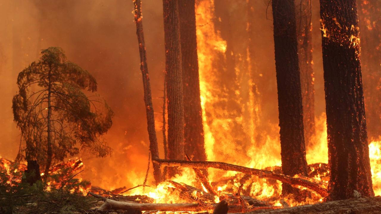 Fire burns as part of California's August Complex Fire in 2020. © Mike McMillan, USDA Pacific Southwest Forest Service