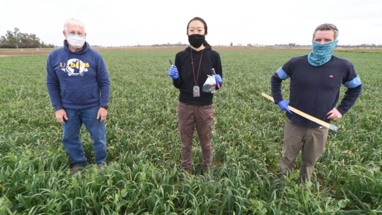 Leaders of the California project are, left to right, Jeff Mitchell, Faye Duan and Maurice Pitesky. (Courtesy Photo)