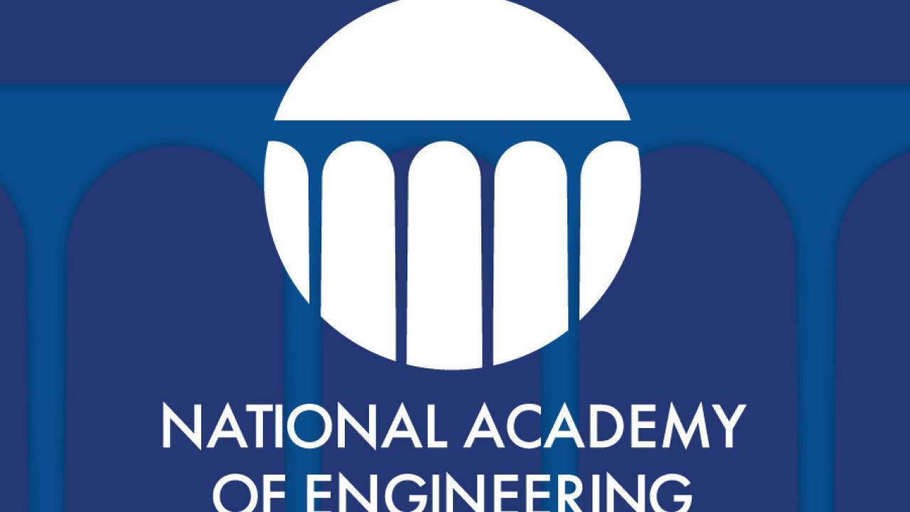 NAE LOGO