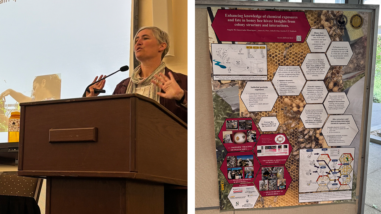 A person stands at a podium in the left picture. In the right picture an academic poster is on display.