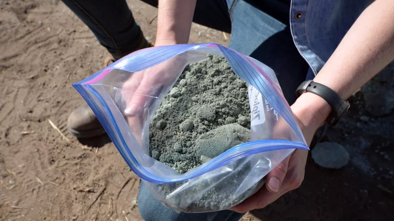 UC Davis researchers find adding crushed volcanic rock to farmlands can remove carbon dioxide from the air. This 'enhanced' rock weathering works even in dry climates. (Amy Quinton/UC Davis)