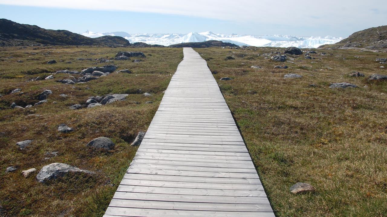 Southern Greenland where a cross-disciplinary project on fermented foods is centered. (Daniel Lyberth Hauptmann)