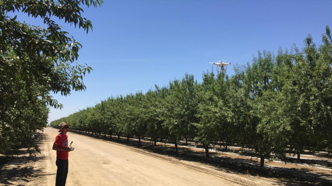 Unmanned aerial vehicles, or drones, can help farmers monitor the state of fields and orchards but data can be affected by the position of the sun. A web application developed at the UC Davis Digital Agriculture Lab helps farmers and researchers find the best time to fly for their date and location to avoid creating errors in data. (Digital Agriculture Lab)