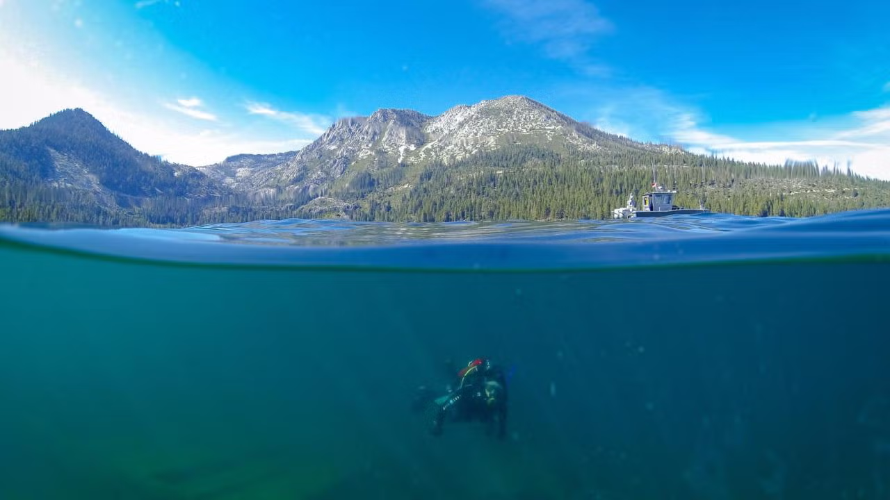 Katie Senft of the UC Davis Tahoe Environmental Research Center dives in the still-blue waters of Lake Tahoe, where clarity levels have stabilized since the 1990s. (Brandon Berry/UC Davis)