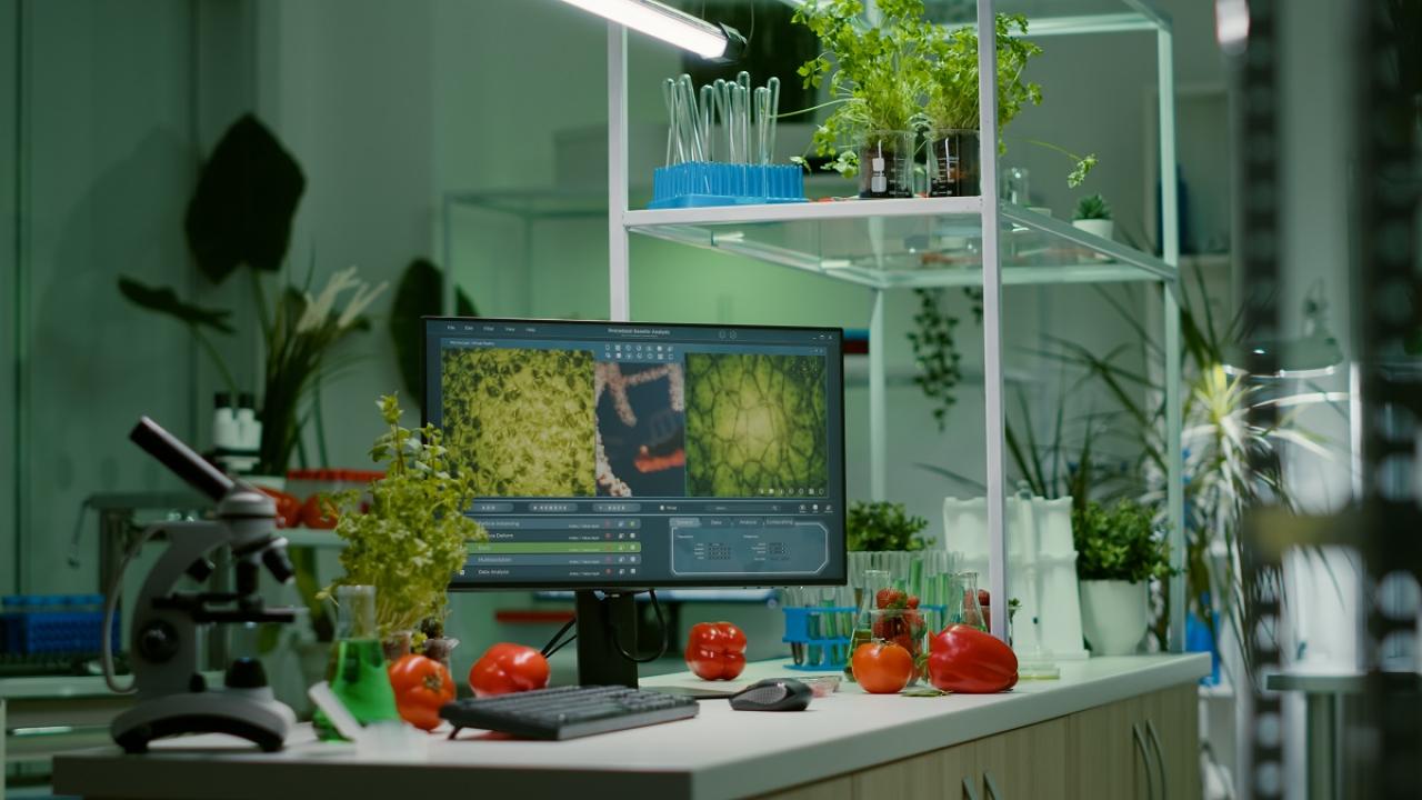 Food on a desk with a computer
