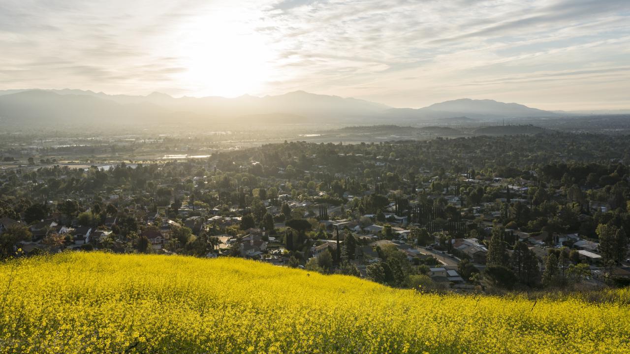 The University of California awarded four UC Davis projects a California Climate Action Grant.(Getty)