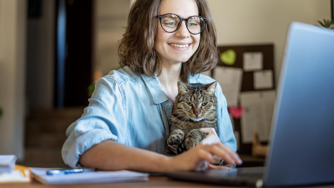 Video calls from home could help improve care for cats with chronic conditions like feline arthritis.