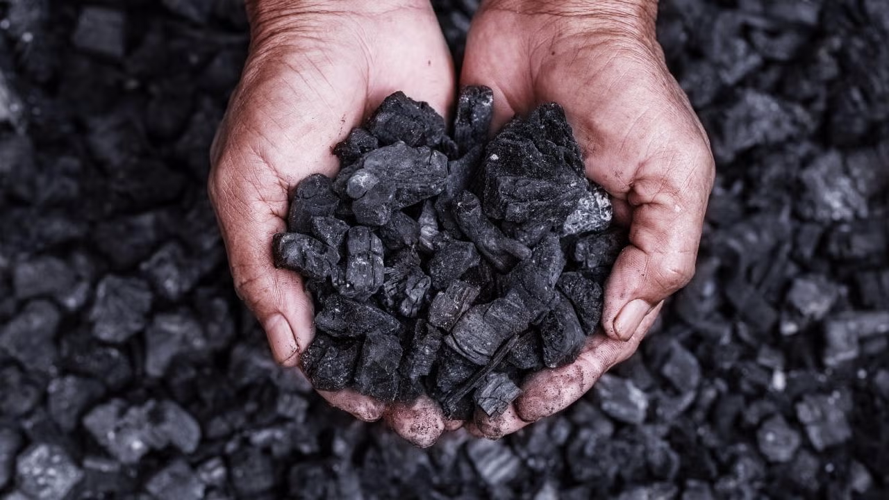 A hand holds fragments of coal, a major source of fossil fuel emissions. (Getty)