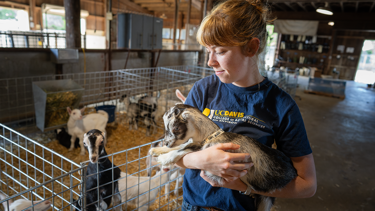 A female student holds a newborn goat.