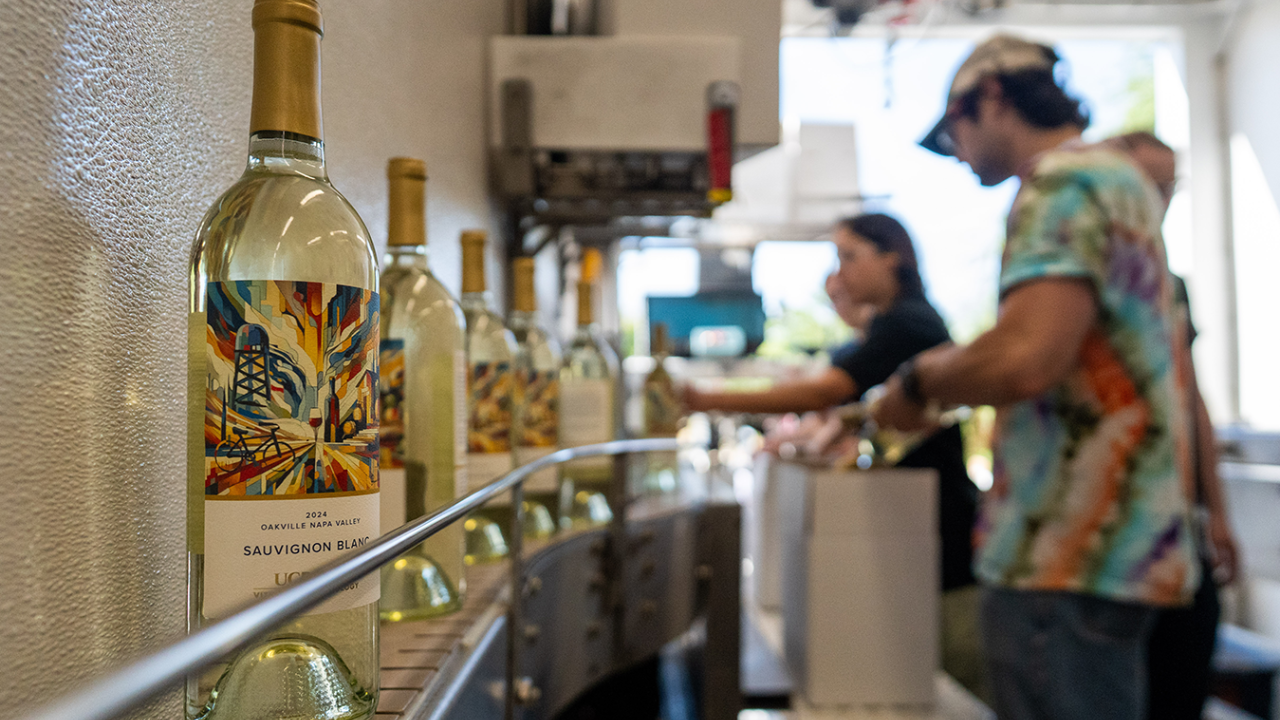 Students taking wine bottles off a mobile bottling line and placing them in boxes for future use. (Jael Mackendorf / UC Davis)