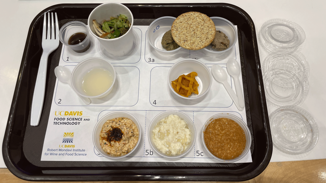 Tray with all the food samples, photo by: Jaime Wilson, Robert Mondavi Institute