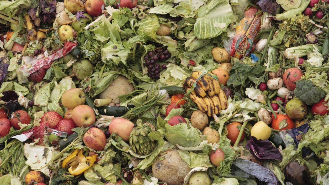 Food waste