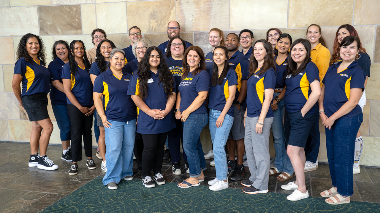 A group of people stand together in matching blue polo shirts.
