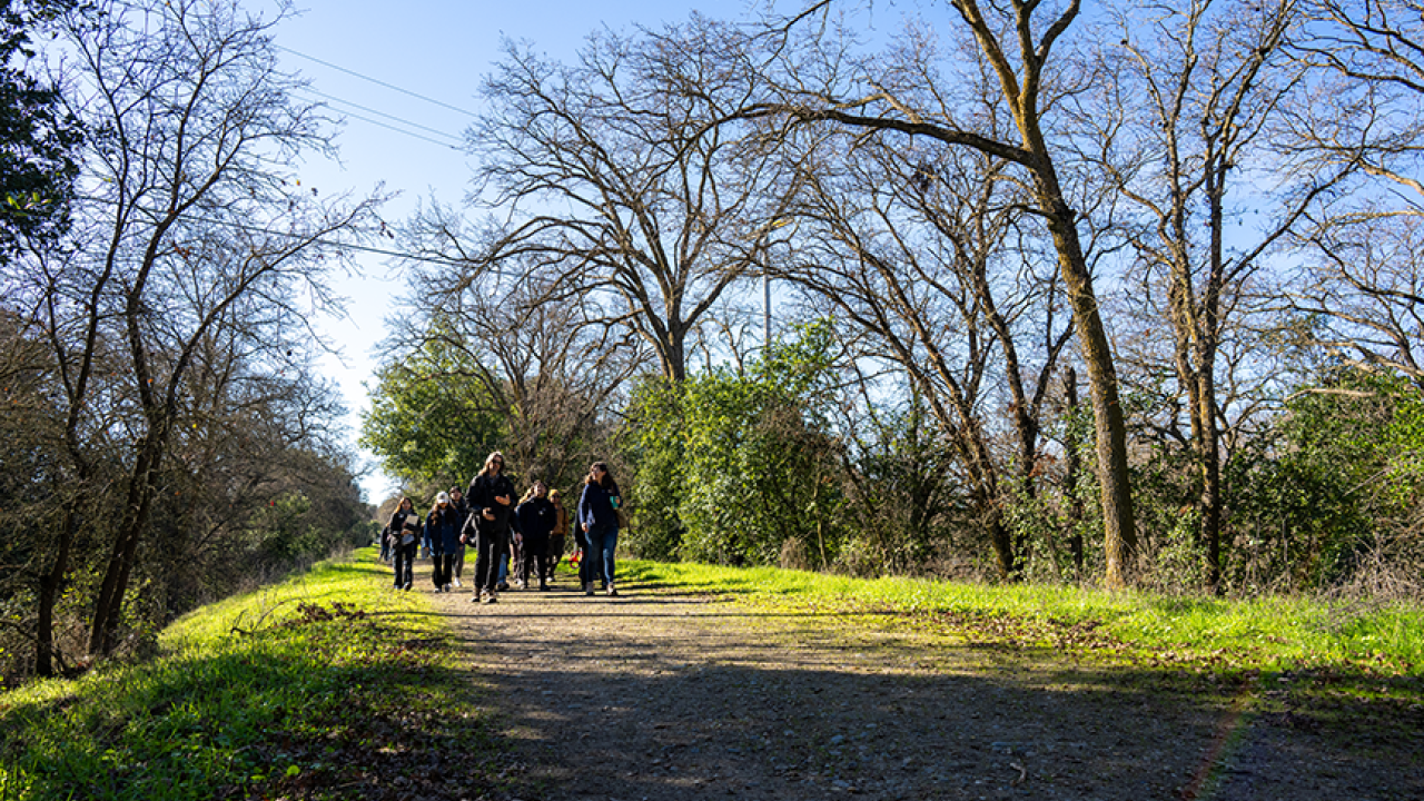 Professor Brett Milligan leads a group of landscape architecture students on a walk in Delta Meadows State Park to see the dynamic landscape as part of a site planning and design studio course. Photo by: Jael Mackendorf, UC Davis